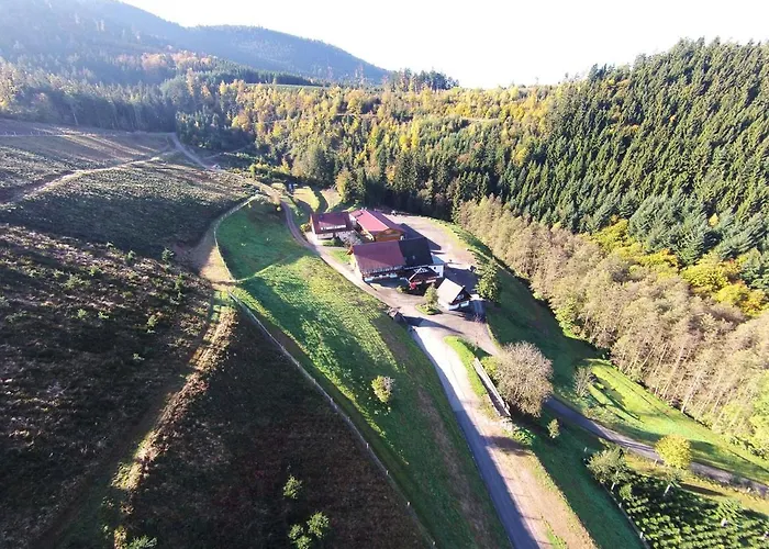 Waldpension Hengsthof